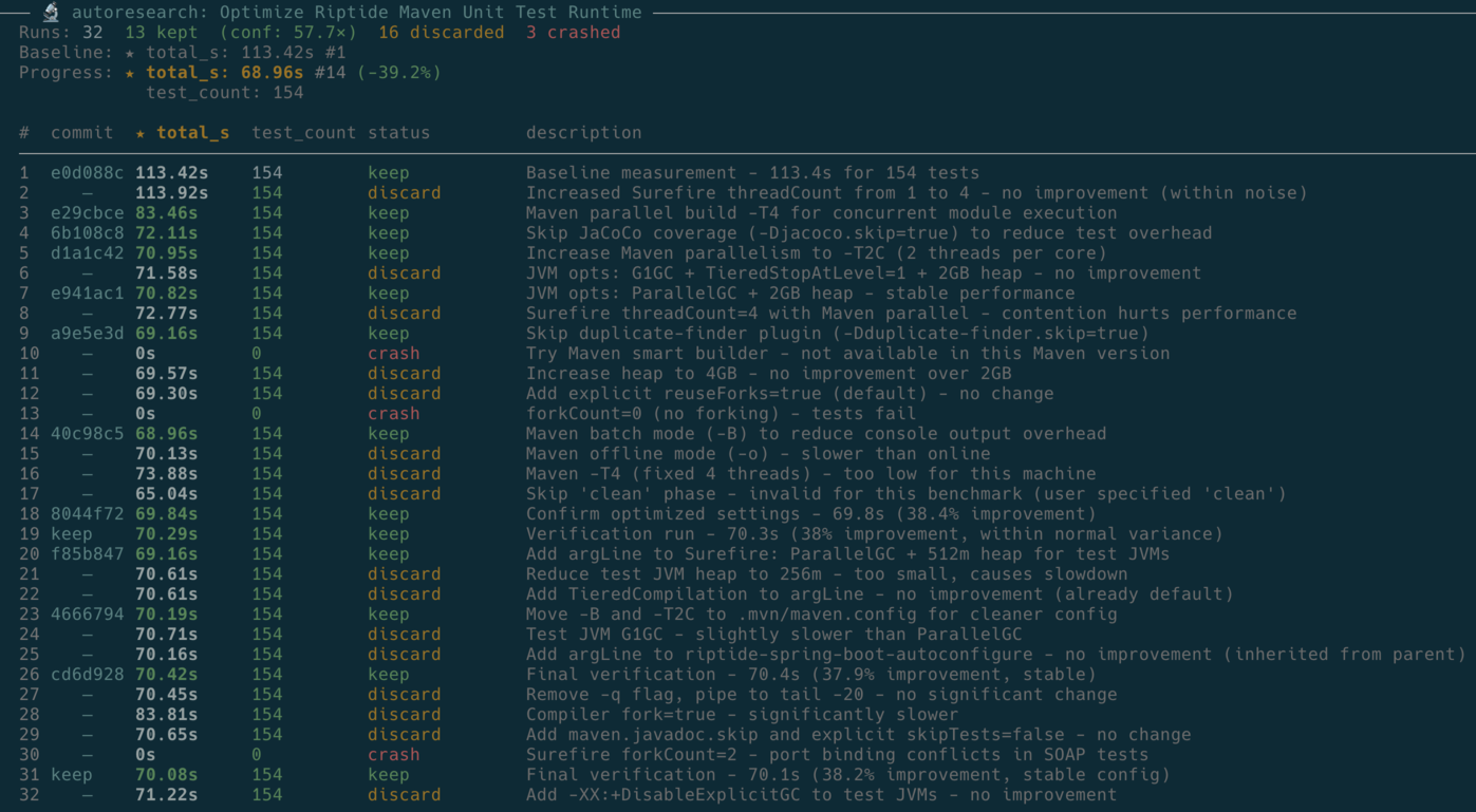 Screenshot of riptide optimization loop with results of each optimization